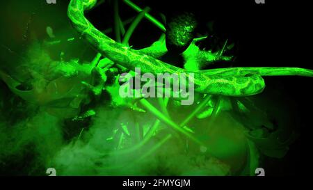 Illustration 3D du crâne et des serpents des gens devant écran Banque D'Images