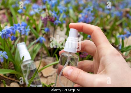 Vaporisateur à la main flacon de pompe liquide transparent dans une pelouse fleur de printemps en fleur de bleu Scilla bifolia (calmar alpin, calmar à deux feuilles). Deux déclencheurs transparents c Banque D'Images