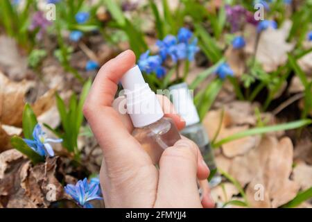 Vaporisateur à la main flacon de pompe liquide transparent dans une pelouse fleur de printemps en fleur de bleu Scilla bifolia (calmar alpin, calmar à deux feuilles). Deux déclencheurs transparents c Banque D'Images