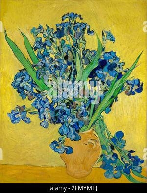 Œuvre d'art Vincent van Gogh intitulée Irises. Banque D'Images