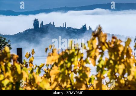 Incroyable début de lever de soleil rayons brouillard paysage vue agriturismo terres agricoles couvertes de brume matinale. Jaune automne vignoble feuilles vue rangées. AG Banque D'Images