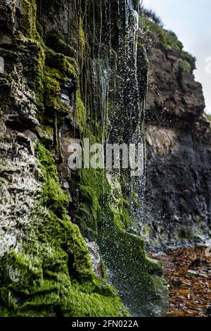 Kimmeridge Bay, chasse aux fossiles, Dorset, Royaume-Uni Banque D'Images