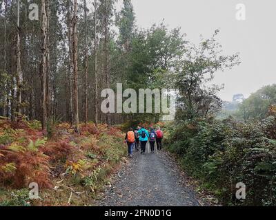 Groupe de randonneurs se rendant le long d'un sentier vide dans le bois un jour sombre Banque D'Images