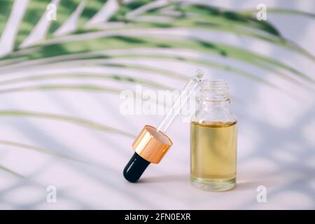 Flacon de sérum ou d'huile essentielle avec feuille de palmier sur fond clair. Cosmétiques naturels biologiques Banque D'Images