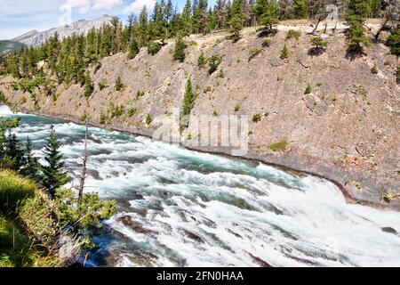 Des rapides qui brûlent le long du sentier des chutes Bow se dirigent vers les chutes Bow, une chute d'eau importante sur la rivière Bow dans les Rocheuses canadiennes du parc national Banff, Albe Banque D'Images