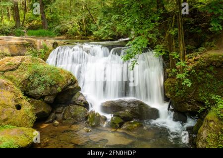 Une chute d'eau urbaine à Bellingham, dans l'État de Washington, tandis que les chutes de Whatcom s'écoulent À la fin du printemps sur le rebord de roche pour créer un rideau d'eau Banque D'Images