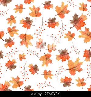 L'automne sans couture laisse le fond, les baies sur fond blanc isolé. Illustration aquarelle Banque D'Images