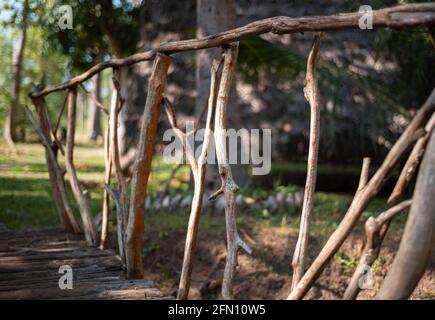 Petit pont fait de branches d'arbre dans un jardin pour principalement pour la décoration. Banque D'Images