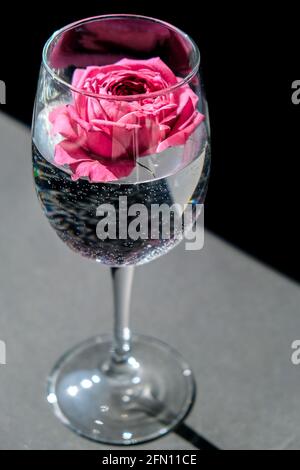 Verre à vin rempli de fleur rose pétalson table avec noir. Une vie moderne et minimale. Concept de vacances conception d'arrière-plan de Saint-Valentin ou de fête des femmes Banque D'Images