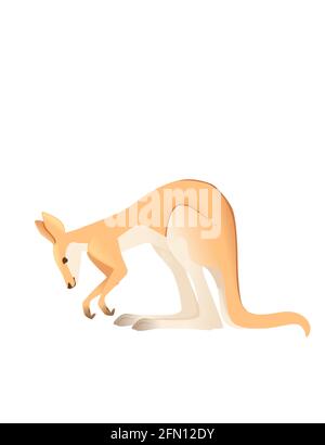 Adorable adulte kangourou animal animal dessin animé animal dessin vectoriel illustration isolé sur fond blanc Illustration de Vecteur