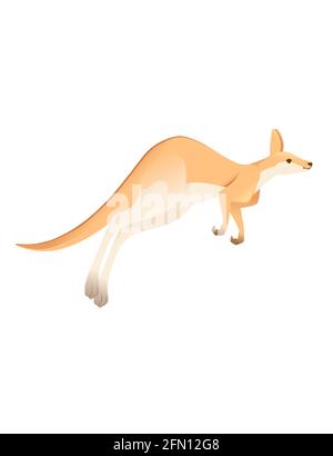 Mignon adulte courir kangourou australien animal dessin animé animal vecteur illustration isolée sur fond blanc Illustration de Vecteur