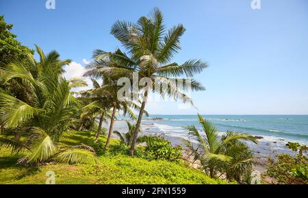 Paysage tropical côtier avec palmiers et l'océan par une belle journée d'été, Sri Lanka. Banque D'Images