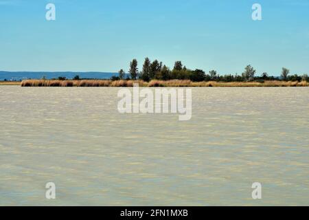 Autriche, petit lac de steppe dans le parc national de Neusiedler See-Seewinkel, une partie de la steppe eurasienne dans le Burgenland et une partie de l'Union internationale pour le con Banque D'Images