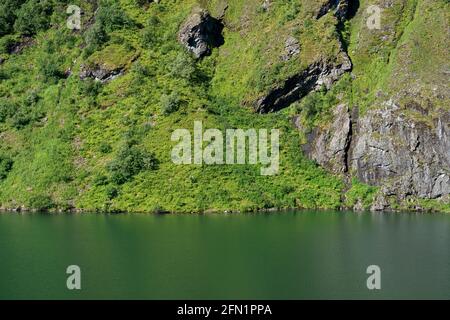 FLO, NORVÈGE - 2020 AOÛT 10. Lac vert et forêt. Banque D'Images