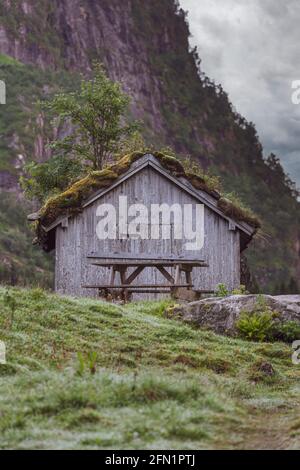 FLO, NORVÈGE - 2020 AOÛT 10. Ancienne ferme grise avec herbe et arbre sur le toit. Banque D'Images