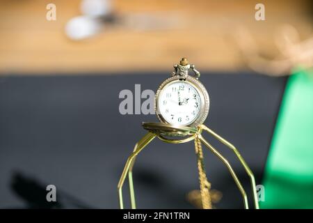 Montre de poche à motif tête de loup. Mise au point sélective Banque D'Images