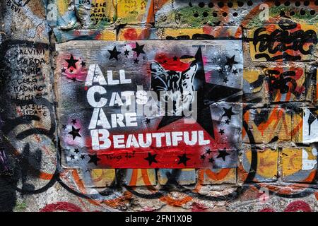 Graffiti et pâte de chat sur un mur dans la cour intérieure de la Haus Schwarzenburg, Mitte, Berlin. Bâtiment historique abritant le collectif des artistes Banque D'Images