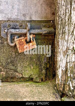 Ancien cadenas rouillé fixé à la vis de la porte en bois Banque D'Images