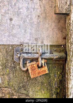 Ancien cadenas rouillé fixé à la vis de la porte en bois Banque D'Images