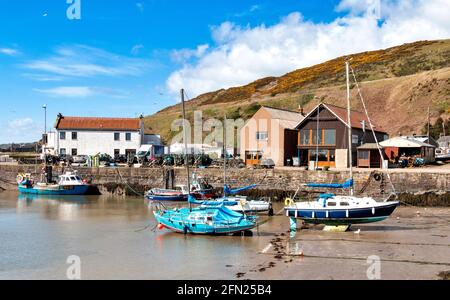 GOURDON ANGUS VILLAGE DE PÊCHEURS D'ÉCOSSE AVEC UN PORT NATUREL ET BATEAUX Banque D'Images