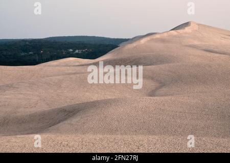 Dune du Pyla (107m au-dessus du niveau de la mer) au crépuscule, plus haute dune d'Europe, situé au sud d'Arcachon, Gironde (33), région de l'Nouvelle-Aquitaine, Franc Banque D'Images