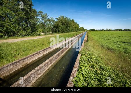 Deux petits canaux d'irrigation en béton dans la campagne, la plaine de Padan ou la vallée du po (Pianura Padana, italienne). Province de Mantoue, Italie, Europe du Sud. Banque D'Images