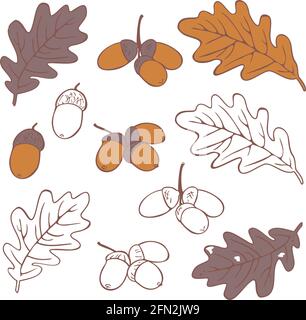 Collection vectorielle de feuilles et d'acornes. Silhouettes d'automne et différentes feuilles colorées. Illustration de Vecteur