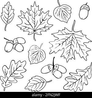Collection vectorielle de différentes silhouettes de feuilles. Motif automne pour livre de coloriage. Illustration de Vecteur