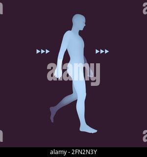 Walking Man. Corps humain 3D Modèle. L'élément de conception. Vector Illustration. Illustration de Vecteur