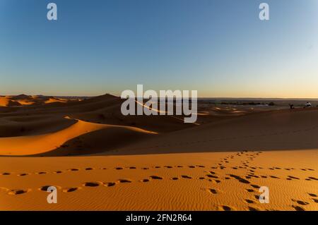 Vue sur les pistes de chameau sur les sables du Sahara désert Banque D'Images