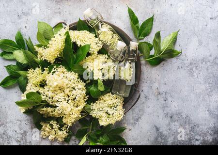 Fleurs fraîches dans un plateau en métal avec cadran dans une bouteille vintage sur fond gris. Vue de dessus, espace vide Banque D'Images