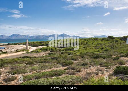 Naturschutzgebiet BEI CAN Picafort, Mallorca; Bucht von Alcudia Banque D'Images