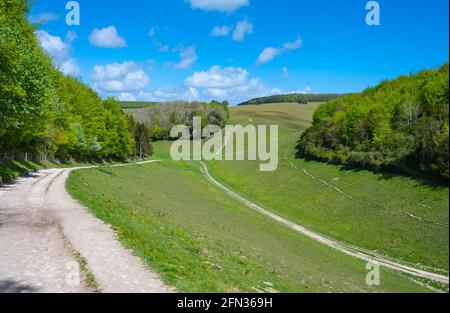 Collines et vallées montrant Monarch's Way au printemps à Arundel Park, South Downs National Park, une région d'une beauté naturelle exceptionnelle à West Sussex, Royaume-Uni. Banque D'Images