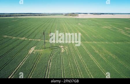 Ligne électrique dans l'agriculture champ vue aérienne drone Banque D'Images