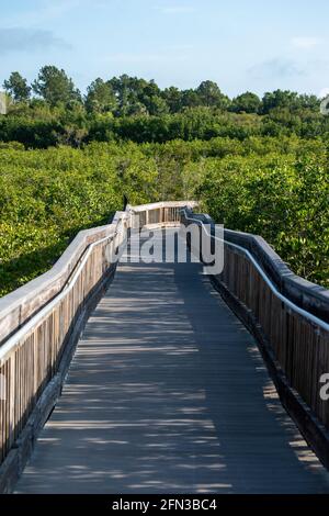 Sentier de promenade dans une réserve naturelle de Floride Banque D'Images