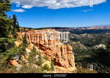 Red Hoodoos à Black Birch Canyon, parc national de Bryce Canyon, Utah. Banque D'Images