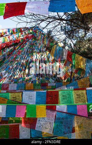 Drapeaux de prière à l'extérieur du temple de Ringa Shangri la, Yunan. République populaire de Chine 2019 Banque D'Images