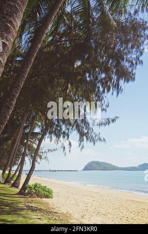 Vue sur l'océan le long d'une plage calme à Palm Cove, Queensland, Australie. Banque D'Images