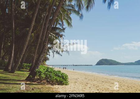 Vue sur l'océan le long d'une plage calme à Palm Cove, Queensland, Australie. Banque D'Images