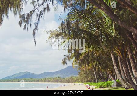 Vue sur l'océan le long d'une plage calme à Palm Cove, Queensland, Australie. Banque D'Images