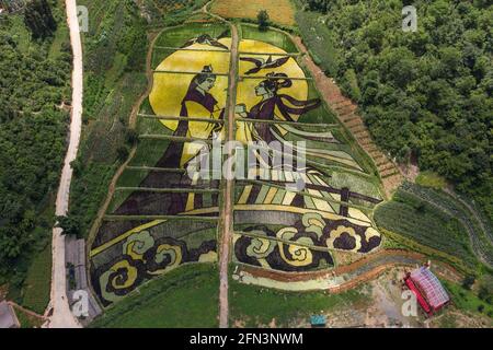 Vue aérienne des rizières colorées dans le comté de Yiliang, Yunnan - Chine Banque D'Images