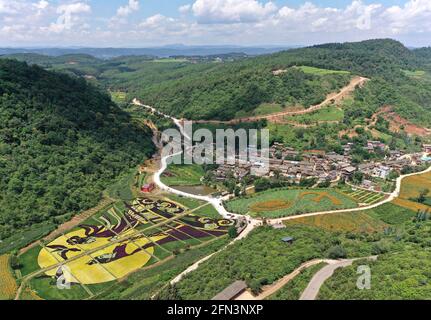 Vue aérienne des rizières colorées dans le comté de Yiliang, Yunnan - Chine Banque D'Images