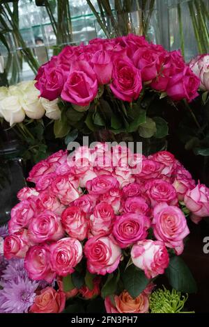 Bouquet de roses roses pour l'amour de fond. Bouquet de roses aux couleurs douces. Banque D'Images