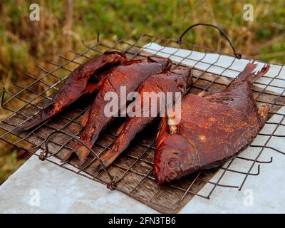 Le poisson est huilé et préparé pour fumer se trouve en treillis sur une table blanche. Banque D'Images