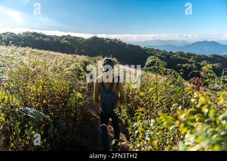 Promenade touristique dans le sentier naturel de Kew Mae Pan dans le parc national de Doi Inthanon - Chiang Mai, Thaïlande Banque D'Images