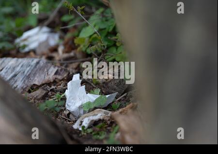 Stockstadt am Rhein, Allemagne. 13 mai 2021. Les mouchoirs utilisés se trouvent dans le parc naturel de Kühkopf-Knoblochsaue. (À dpa 'sur le comportement des excursions dans la deuxième année pandémique') Credit: Sebastian Gollnow/dpa/Alamy Live News Banque D'Images