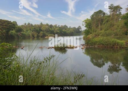 Rivière Cauvery ou Kaveri traversant la forêt de Coorg, Inde Banque D'Images