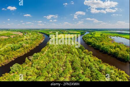 Arrière-plan de la rivière Tisza en Hongrie. Incroyable photo panoramique aérienne sur une zone naturelle célèbre à proximité de la ville de Kecskemet à côté du village de Toserdo. Banque D'Images