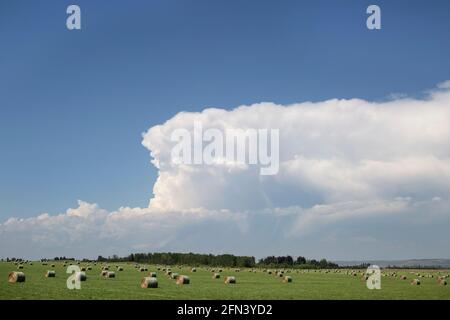 Vue sur les terres agricoles de la route transcanadienne avec balles de foin et ciel bleu avec nuages, Alberta, Canada Banque D'Images