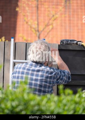 Homme âgé à la retraite avec cheveux gris travaillant sur la clôture de son jardin Banque D'Images